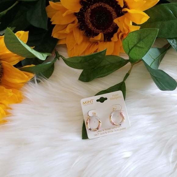 Mint Collection 14KT Gold Plated Hoop Earrings - Picture 1 of 2